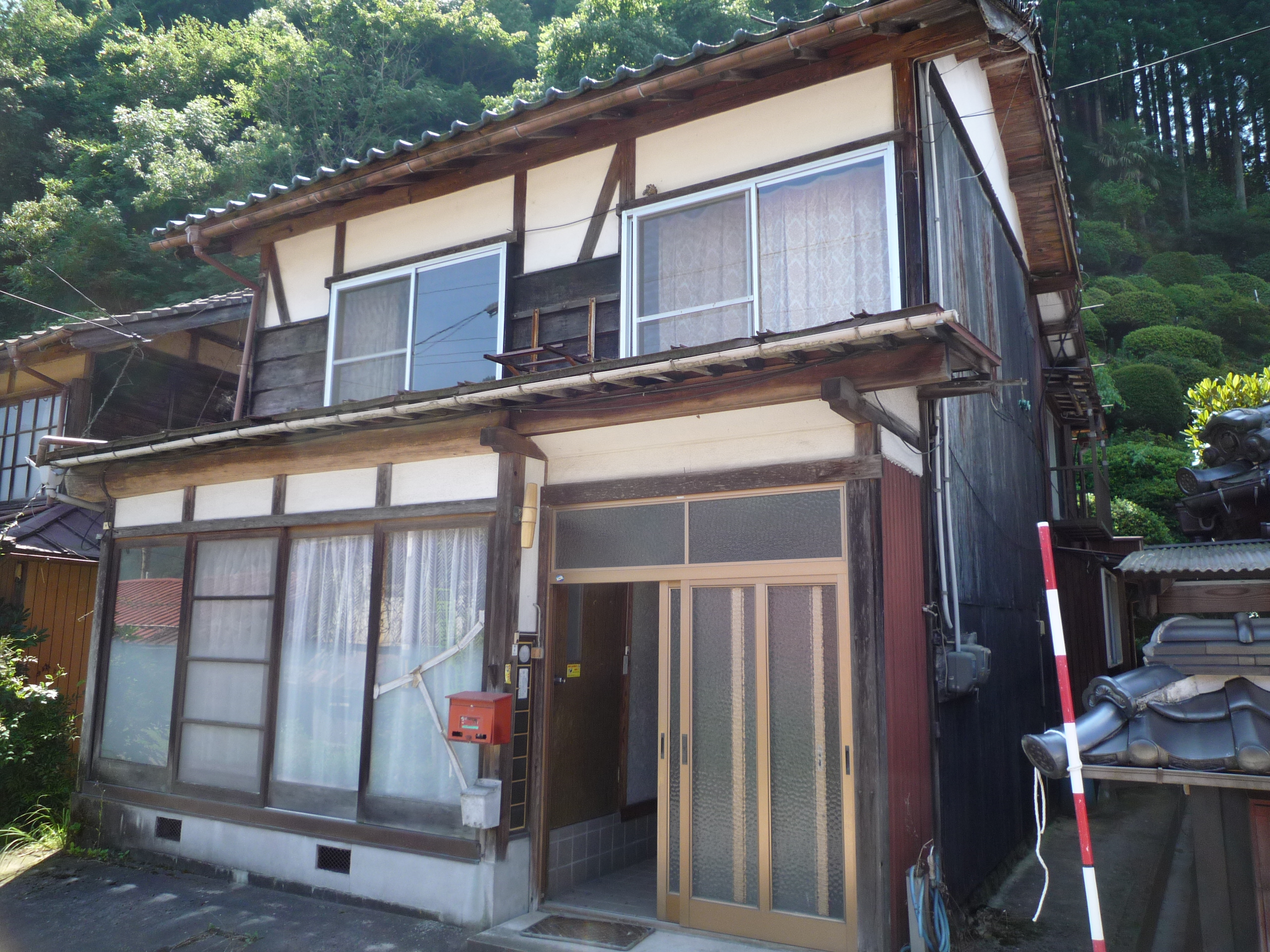 19の写真