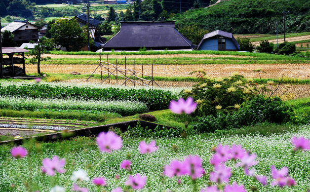 下黒坂の風景