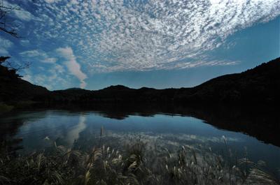 鵜の池（「日野町ふるさと百景」より）