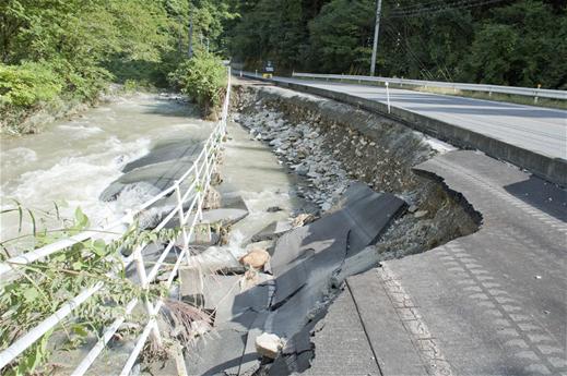 Room No ０７ 有志竟成 ノーベル賞を受賞された本庶さんの言葉に乗せて 鳥取県 日野町